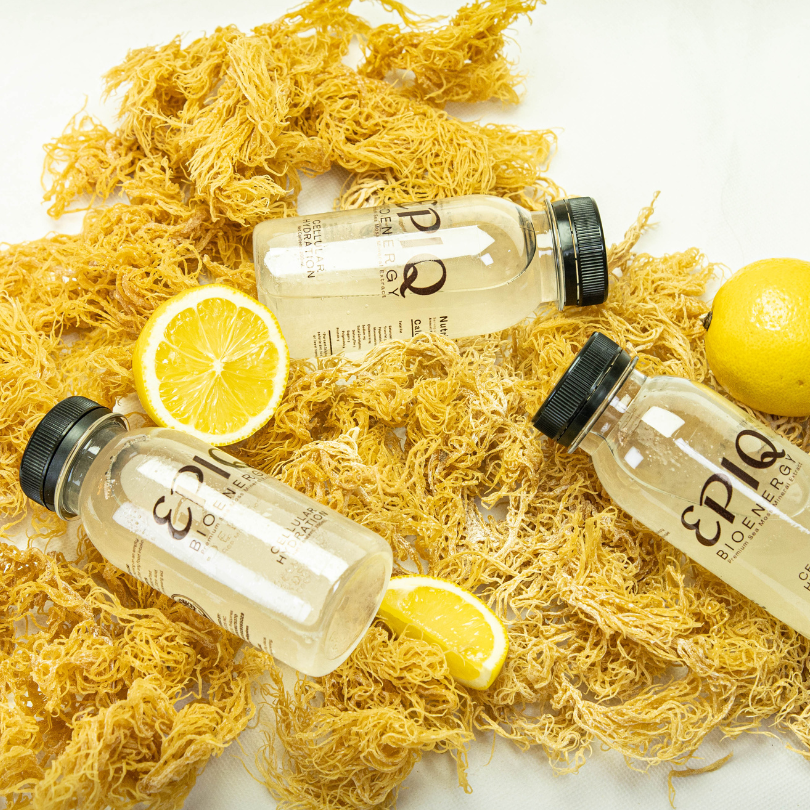 3 BOTTLES - EPIQ BIOENERGY PREMIUM SEA MOSS MINERAL EXTRACT FOR CELLULAR HYDRATION 200ML BOTTLE
